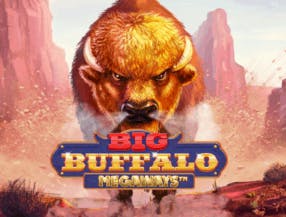 game logo by Skywind Group on casinokcasinok.com