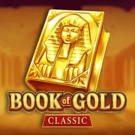 game logo by Playson on casinokcasinok.com