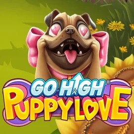 game logo by RubyPlay on casinokcasinok.com